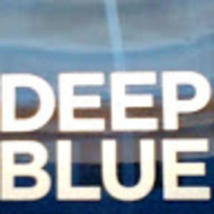 Meet your Posher, Alina